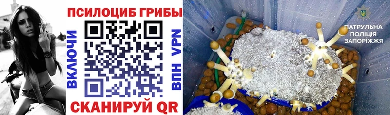 Псилоцибиновые грибы мухоморы  Челябинск 